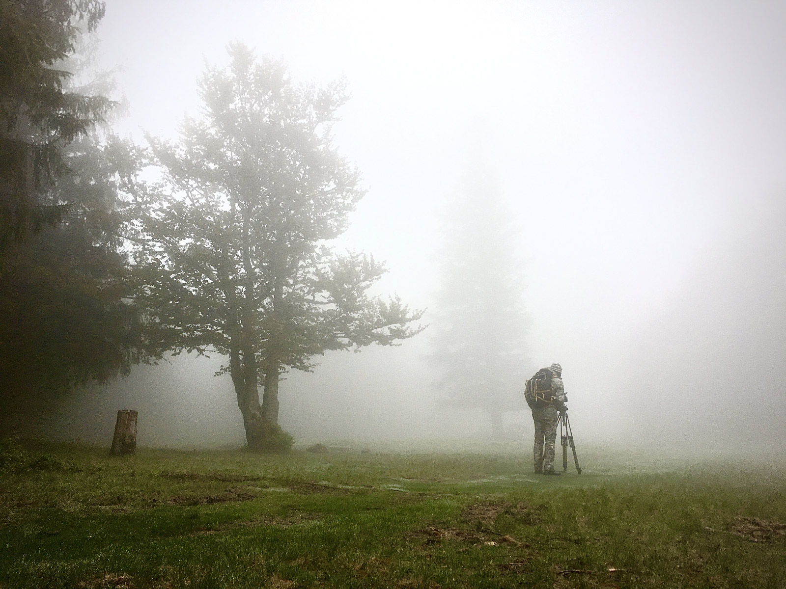 photo de nature embrumé - Iffcam
